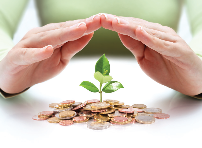 Hands over a plant sprouting up from coins.