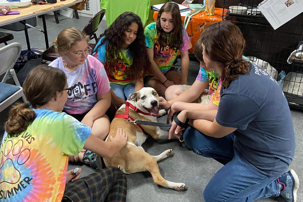Group of teenagers on the floor around a happy dog in the middle at an animal shelter.