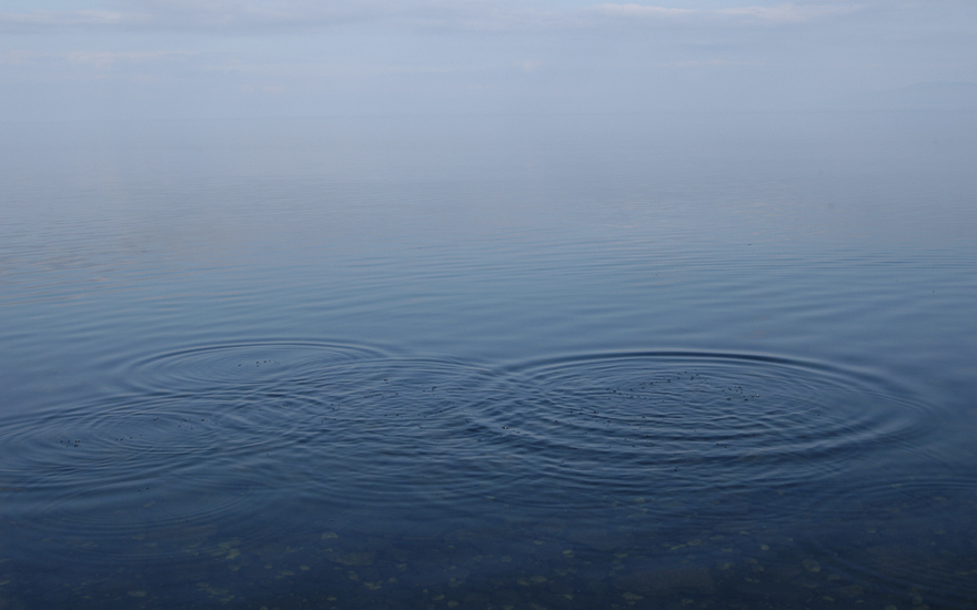A gentle ripple in the water
