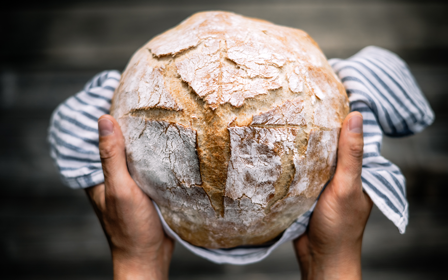 Close up of sourdough held in a basket (with blue and white striped fabric) by two hands.