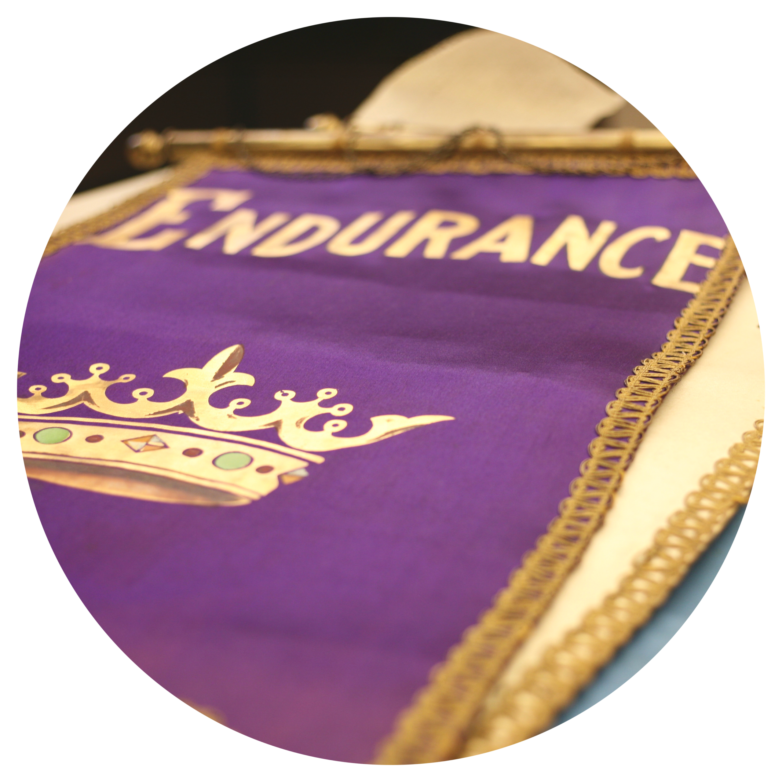 royal neighbors bylaws