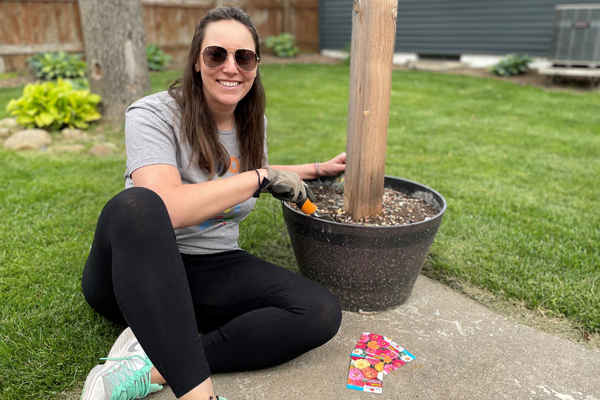 beautify your neighborhood this spring